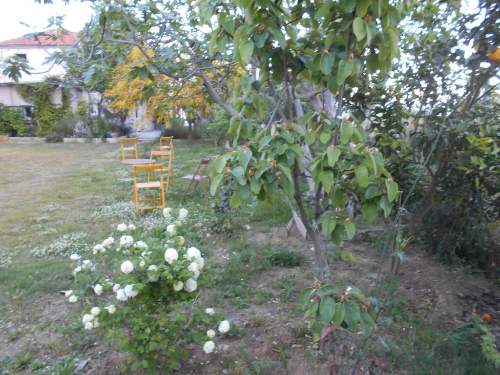 Kassimiotis Apart otel Agios Andreas  Dış mekan fotoğraf