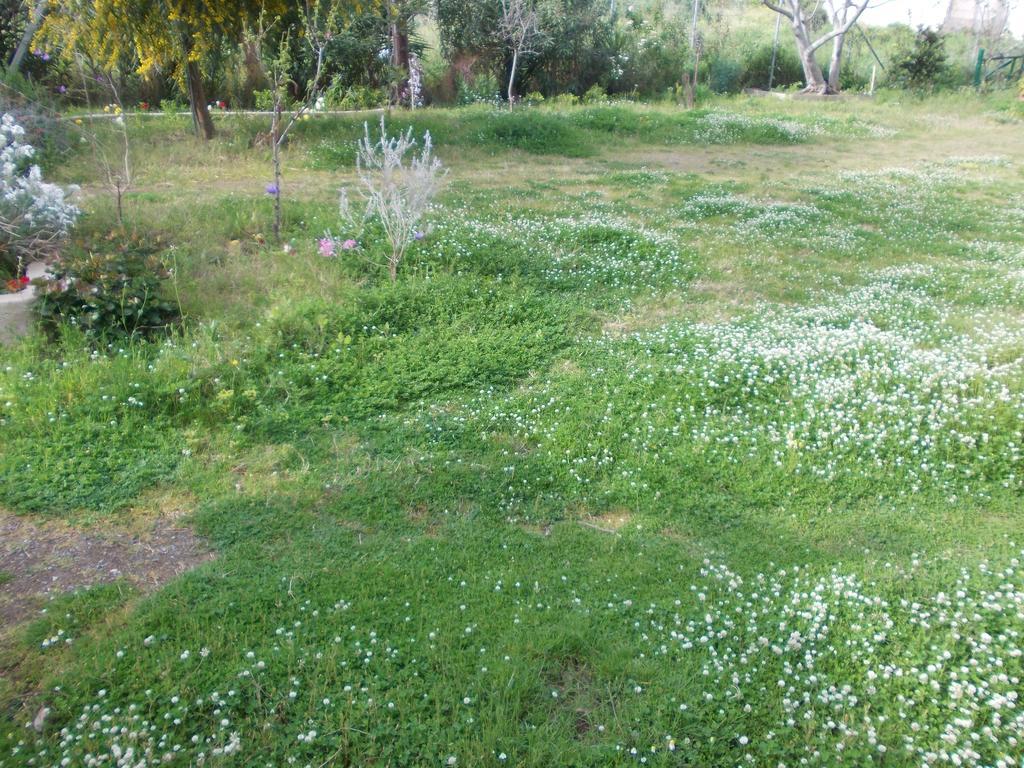 Kassimiotis Apart otel Agios Andreas  Dış mekan fotoğraf